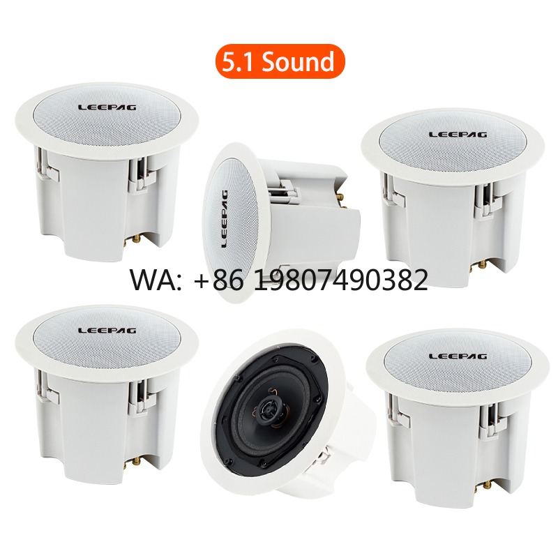 Audio Music Background Free - Waterdichte WiFi Bluetooth Plafondluidspreker, Draadloze Stereo