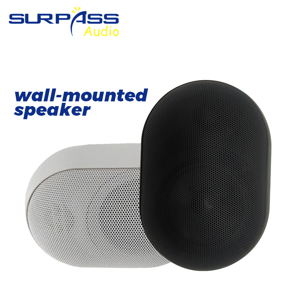 30W Wandmontage Luidspreker Wa - Audio Music Background Free recensie en prijs